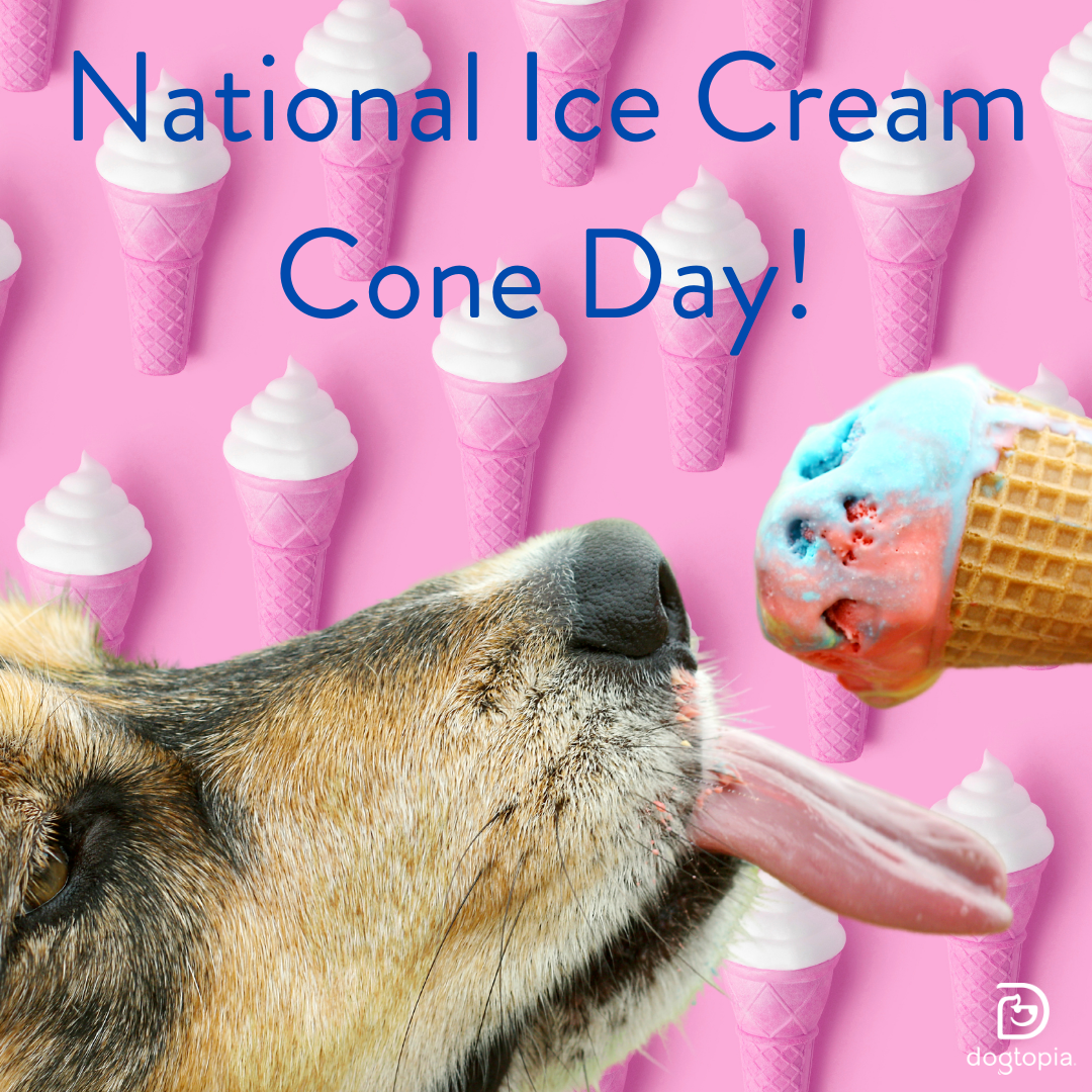 National Ice Cream Cone Day Newmarket