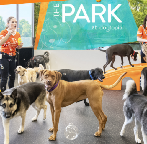 The Bark Park of Alamo Heights - Dog Park