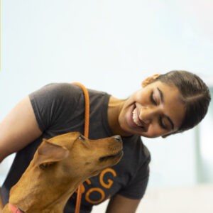 Dog in room with canine coach working on communication and why dogs bark